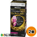 花王 ブローネ ワンプッシュカラー 3N 明るいナチュラルブラウン (80g) 2個セット <白髪染め 部分染め 全体染め>【医薬部外品】【送料無料】