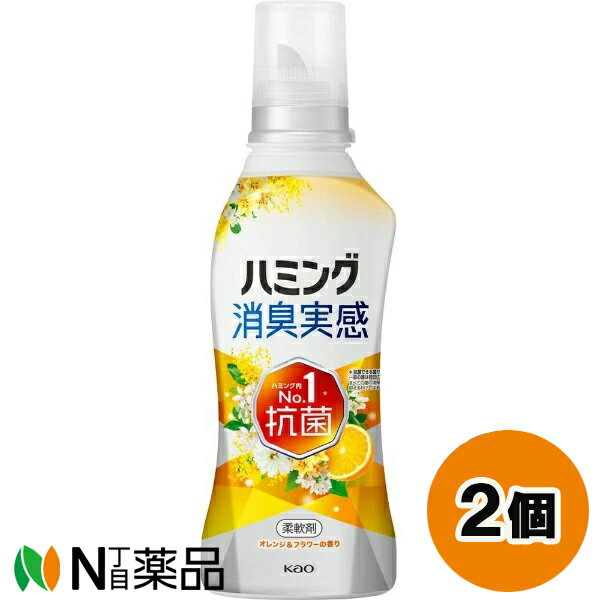 花王 ハミング 消臭実感 オレンジ＆フラワーの香り 本体 (510ml) 2個セット ＜柔軟剤　抗菌　生乾き臭　部屋干し臭　汗臭＞【送料無料】