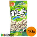 でん六 Eサイズ ポリッピー塩味 48g×10個セット＜おつまみ　豆菓子　食べきりサイズ＞