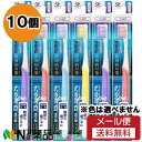 【メール便送料無料】デンタルプロ ダブル マイルド毛 4列 ふつう 10個セット <歯ブラシ>※色は選べません