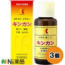 【第2類医薬品】金冠堂 キンカン (100ml) 3個セット ＜虫刺され かゆみ 肩こり 腰痛 打撲 捻挫に セルフメディケーション税制対象＞【小型】【★】