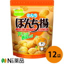 ぼんち ぼんち揚 チャック付 100g×12個セット＜揚げせんべい＞