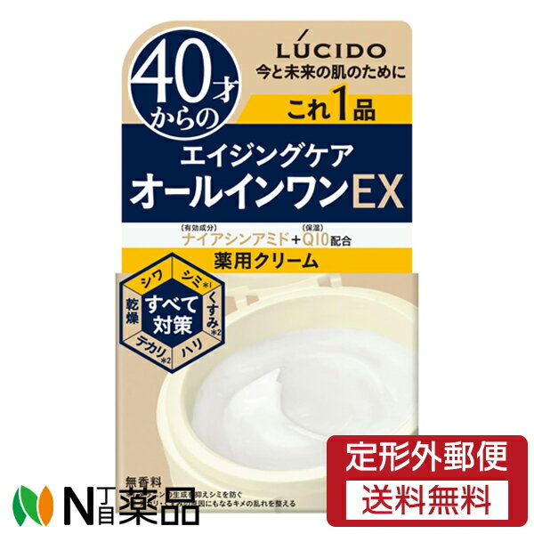 【定形外郵便】マンダム LUCIDO(ルシード) 薬用パーフェクトスキンクリームEX (90g) ＜高保湿 エイジングケア オールインワン メンズコスメ 薬用クリーム コエンザイムQ10＞【医薬部外品】