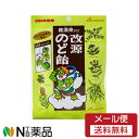 【メール便送料無料】カイゲン 改源のど飴 (70g)