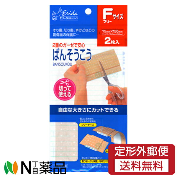 共立薬品工業 エリーダ 切って使えるばんそうこう フリーサイズ 2枚入