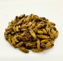 冷凍コオロギ イエコ 約200匹80g 脚除去 レオパの餌 冷凍餌 爬虫類 肉食魚 レオパ 餌 爬虫類の餌 両生類のエサ イエコオロギ