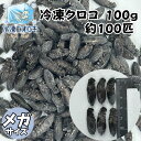 冷凍クロコ メガサイズ 100g 約100匹 生産者直販売 冷凍コオロギ 冷凍 コオロギ 餌用 えさ用 エサ用 えさ エサ 餌コオロギ 冷凍餌 レオ..