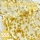 ヨーロッパイエコオロギ SSSサイズ 500匹 生餌 コオロギえさ 餌用コオロギ 活きエサ 販売 活き餌 イエコオロギ 爬虫類 両生類 カナヘビ ヤモリ エサ ...