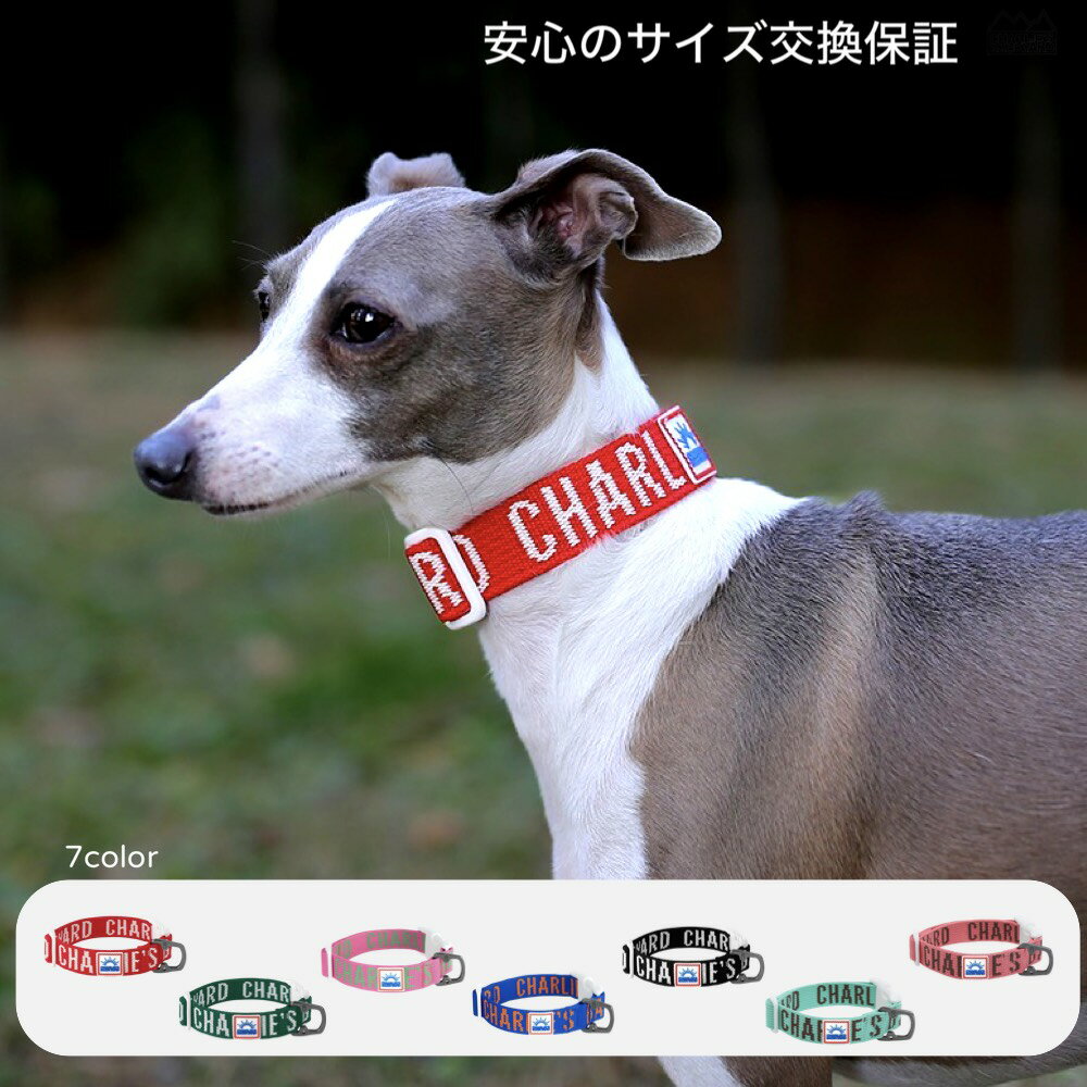 樂天商城 - 【日本正規輸入元】犬 首輪 おしゃれ 軽量 丈夫 サイズ調整 小型犬 中型犬 大型犬 ドッグカラー 散歩 犬用首輪 TRIP COLLAR トリップカラー CHARLIE'S BACKYARD