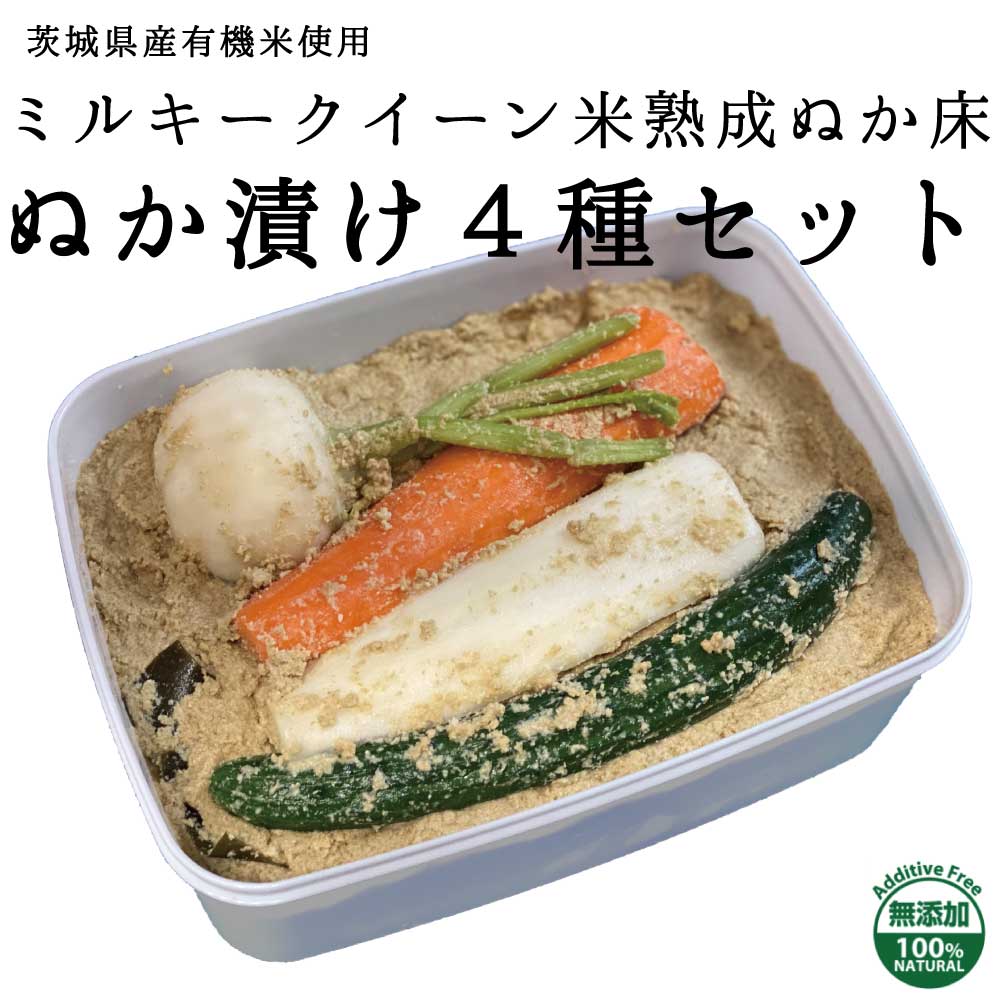 【送料無料】菜香や ミルキークィーン品種 茨城県産 有機栽培米使用 「ミルキークイーン米ぬか床」1．5kgとぬか漬け4種セット（簡単に出来るお手入れのレシピ・タッパー容器付き） ぬか床　ぬか漬け 簡単 初心者