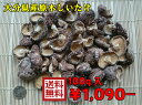 【送料無料】なばやの小粒椎茸100g入り【大分産原木椎茸！生産者直売♪】