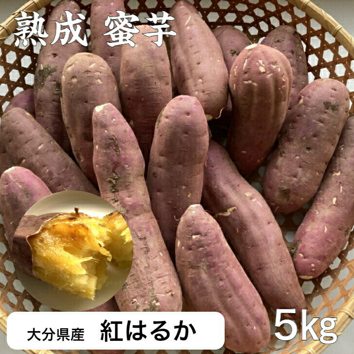 紅はるか （ さつまいも ） 5kg 熟成 