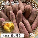 紅はるか さつまいも 5kg 熟成 蜜芋 送料無料 大分県産 しっとり さつま芋 訳あり 高糖度 甘藷 かん太くん 九州