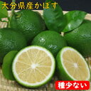 かぼす 青果 【 大分県産 】 種の少ない カボス 【 わけあり 】 【 送料無料 】