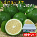 かぼす 青果 【 大分県産 】 種の少ない カボス 2キロ 又は4キロ 【 ギフト 贈り物 】 【 送料無料 】