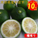 かぼす 青果 【 大分県産 】 【生産者直送】 カボス 10キロ 【 わけあり 】 【 送料無料 】