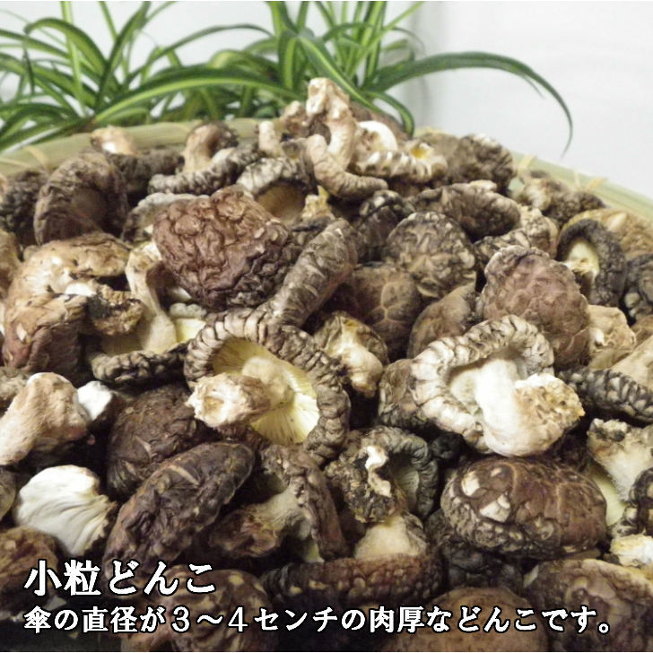 しいたけ 乾燥 干し椎茸 九州産香信椎茸 80g 5個セット 姫野一郎商店 送料無料
