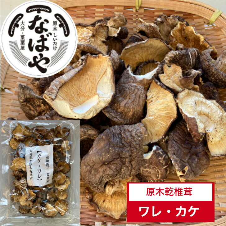 干し椎茸 【ワレ・カケ ほぼじく無し お試し100g 】 しいたけ 国産 訳あり 大分 大分県産 干ししいたけ 原木椎茸 干しシイタケ 乾し椎茸 乾ししいたけ 乾燥シイタケ 乾燥しいたけ 九州産 なばや