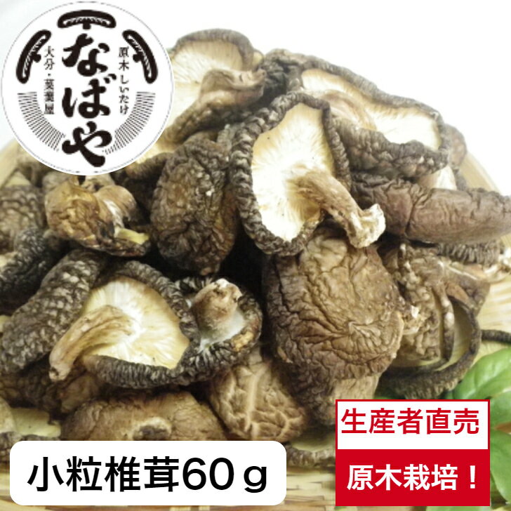 干し椎茸 なばやの小粒椎茸60g入り【大分産 原木椎茸 生産者直売 】大分 国産 送料無料 しいたけ 干ししいたけ 干しシイタケ 乾し椎茸 乾ししいたけ 乾燥椎茸 乾燥しいたけ 九州産 原木しいたけ