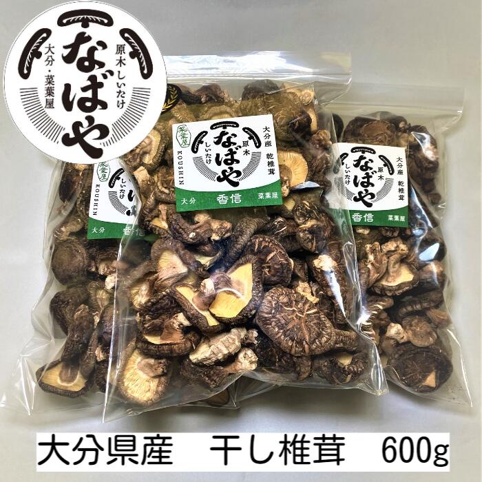 干し椎茸 香信 600g 大分県産 生産者直売 原木椎茸 大容量 干ししいたけ 椎茸 しいたけ 業務用 送料無料 ゆうパック