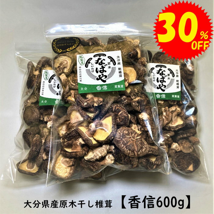 干し椎茸 香信 600g 大分県産 生産者直売 原木椎茸 大容量 干ししいたけ 椎茸 しいたけ 業務用 送料無料 ゆうパック