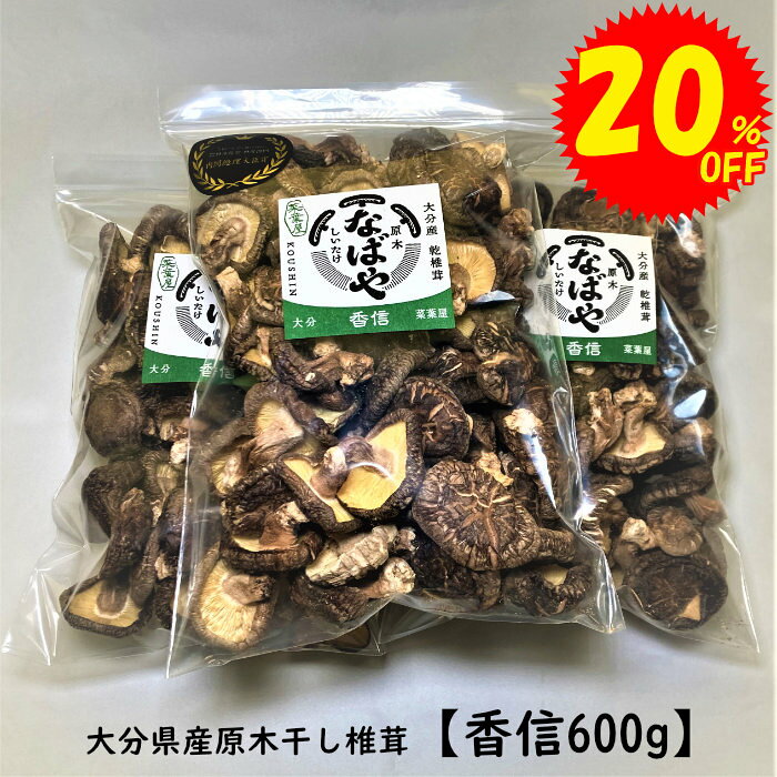 干し椎茸 【令和7年新物！香信 600g 大分県産 生産者直売 原木椎茸 大容量 干ししいたけ 椎茸 しいたけ 業務用 送料無料 ゆうパック