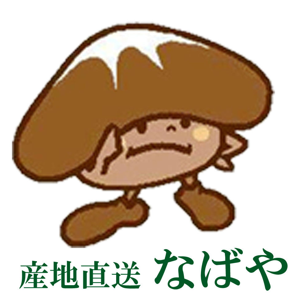 Shop icon