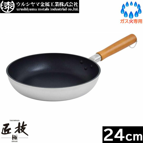���������� ���륷��޶�°������ �ˡ�KIWAMI�� �ե饤�ѥ� 24cm