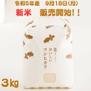 ★★★令和5年9月18日より新米販売開始★★★おいしいコシヒカリ【3kg】　100％有機肥料使用　鍋八農産一押しの最高級米　…