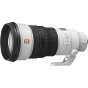 SONY (ソニー) SEL300F28GM 大口径望遠単焦点レンズ　α用レンズ　FE 300mm F2.8 GM OSS