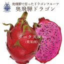 奥飛騨ドラゴン ダークスター(紫果肉) 600~800g(2~5玉) 国産ドラゴンフルーツ 岐阜県 高山市 奥飛騨温泉郷 自社ハウス産 国産 Dragon Fruits ピタヤ Pitaya 送料無料