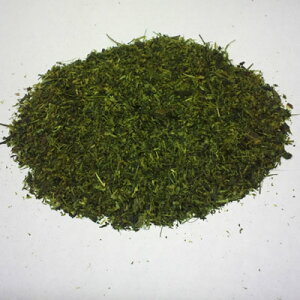 なべしま銘茶【定番商品】深蒸し茶【粉茶】100g【オープンセール】【ニューショップ送料無料祭20120817】