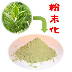 【3新商品・リニューアル】◆【釜炒り】べにふうき茶粉末タイプ50g×4袋◆【送料無料】【クロネコDM便発送(代引・日時指定不可)】