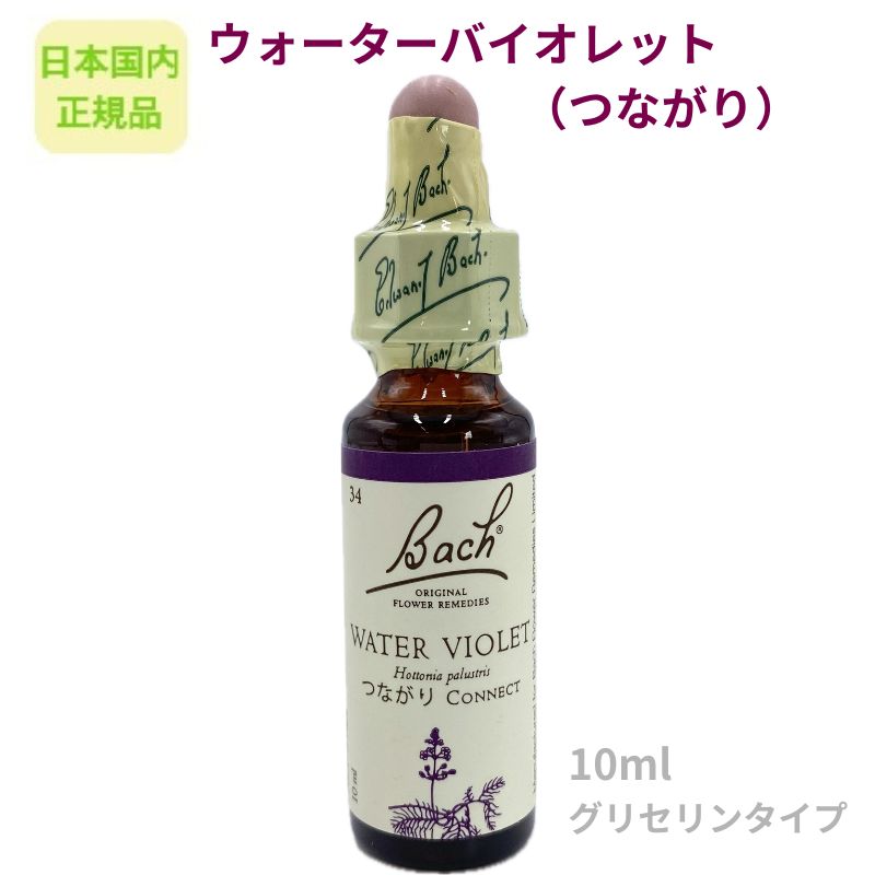バッチフラワーレメディ『ウォーターバイオレット（つながり）』10ml フラワーエッセンス 【日本国内正規品】※グリセリンベース ※アルコール不使用 ※砂糖不使用