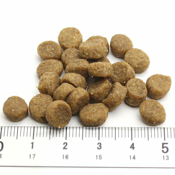 最短賞味2027.3.4・アーテミス 猫 フレ...の紹介画像2