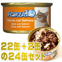 最短賞味2026.10 フォルツァ10 猫 メンテナンス マグロ＆サーモン 85g×24缶 一般食ウェット キャットフードFORZA10正規品fo05654s24