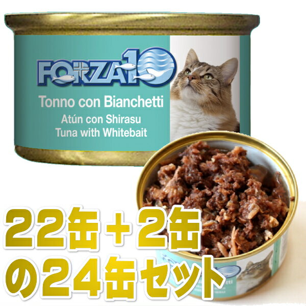 最短賞味2025.11・フォルツァ10 猫 メンテナンス マグロ＆シラス 85g×24缶 ウェット キャットフード FORZA10正規品fo05661s24