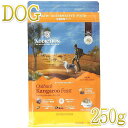 最短賞味2026.9.16・アディクション 犬 アウトバックカンガルーフィースト粉末250g正規品add21570