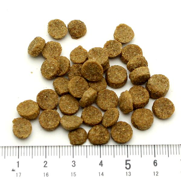 最短賞味2027.8.31・ブリスミックス 犬 LITE ウェイトコントロール 小粒 1kg成犬シニア肥満対応ドッグフードBLISMIX正規品bl60341 nachu-10009280 なちゅのごはん サンプル画像2