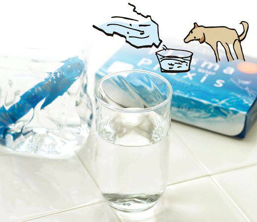 なちゅのごはんのPlasma Praxis プラズマプラクシス 2本入り水素水1L約11円 犬猫人用プラズマ水素 pp20165｜アングル2