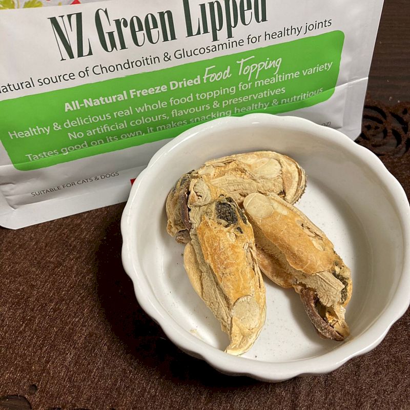 最短賞味2025.4・サンデーペッツ NZグリーンリップド50g緑イ貝フリーズドライおやつsp99758正規品 2