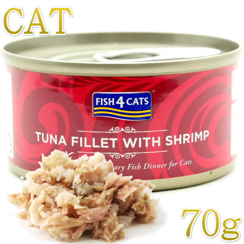 最短賞味2028.6・フィッシュ4キャット 猫缶...の商品画像
