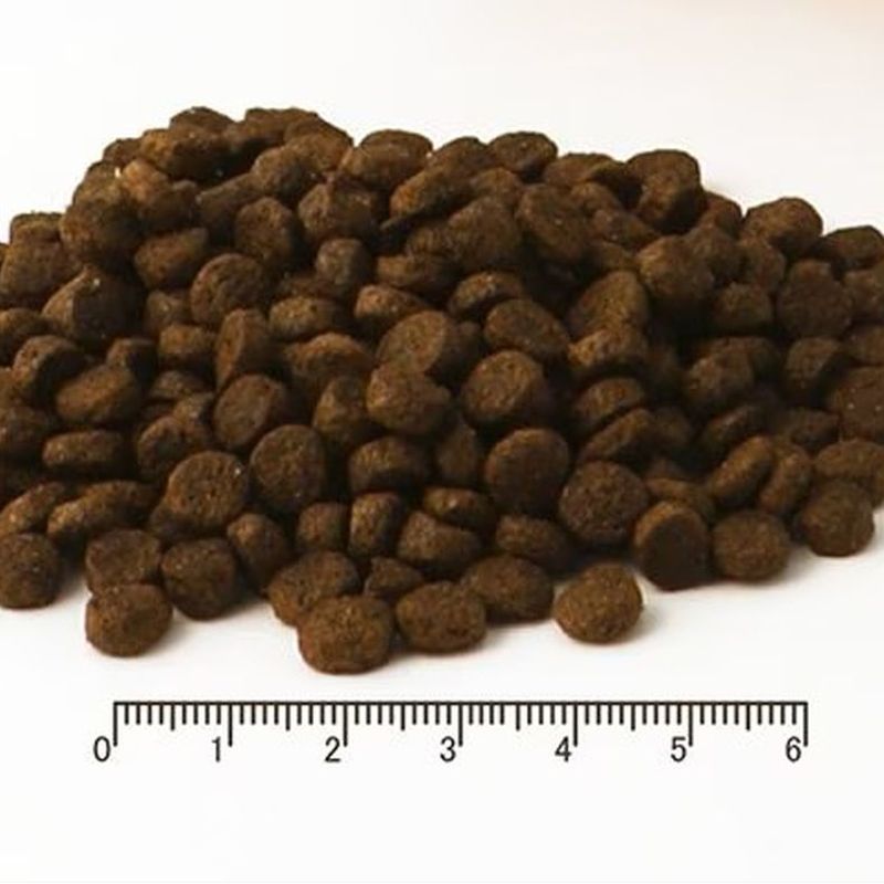 最短賞味2027.12.22・フィッシュ4ドッグ スーペリア ウェイトコントロール 小粒 400g肥満シニア犬用FISH4DOGS 正規品f480406 nachu-10005023 なちゅのごはん サンプル画像2