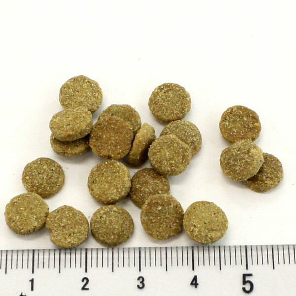 ��û��̣2027.5.10�����ǥ�������� ǭ �磻��ɥ������ ����å� �������ɥС���300g��ǯ��ǭ�ѥɥ饤������adc12872