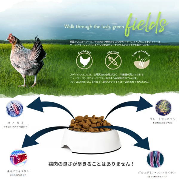 なちゅのごはんの最短賞味2027.10.16・アディクション 猫 チキンシュプリーム 900g成猫用キャットフード正規品adc12882｜アングル2