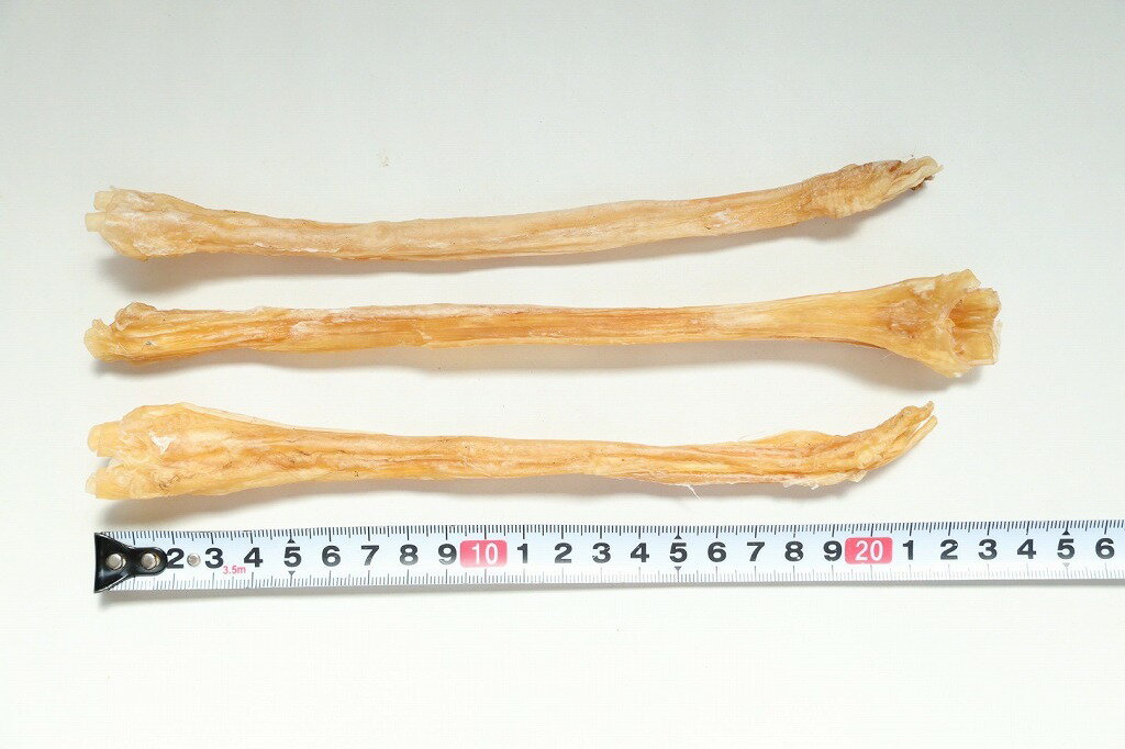 ��û��̣2026.11��������� ���Υ����쥹 ����3�ܸ��Ѥ����awa62098������