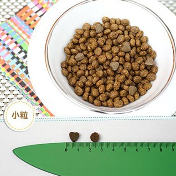 最短賞味2026.12・フォルツァ10 猫 リナール アクティブ キャット400g fo14250成猫シニア猫 腎臓ケア キャットフード正規品 nachu-10011335 なちゅのごはん サンプル画像2