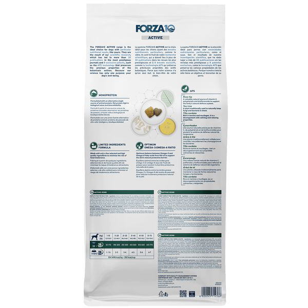 ���ޤ��դ�����û��̣2027.1���ե���ĥ�10 ���ߥǥ����� ������ �����ƥ�����γ 10kg����fo14366���ɡ���������FORZA10������