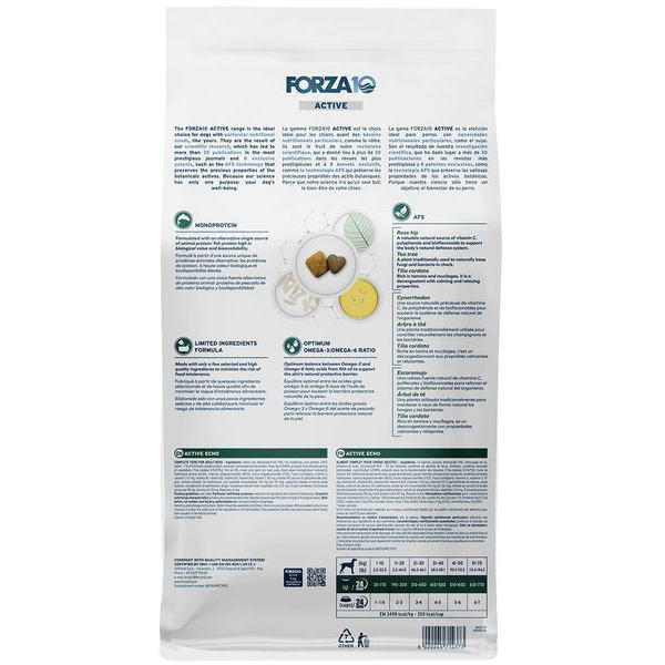 最短賞味2026.10・フォルツァ10 犬ミディアム エコー アクティブ中粒 4kg fo14373耳管・外耳ケアFORZA10正規品