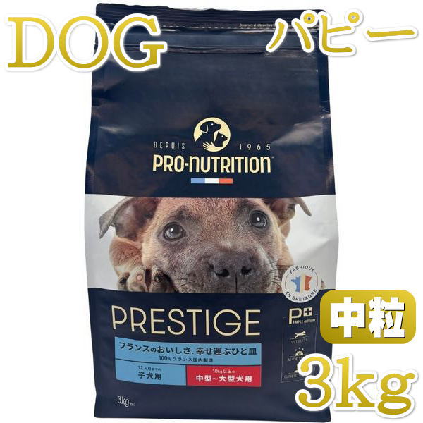 Domestic - 最短賞味2026.10.28・プレスティージ 犬用 パピー中粒3kg子犬用ドッグフード正規品pn50304